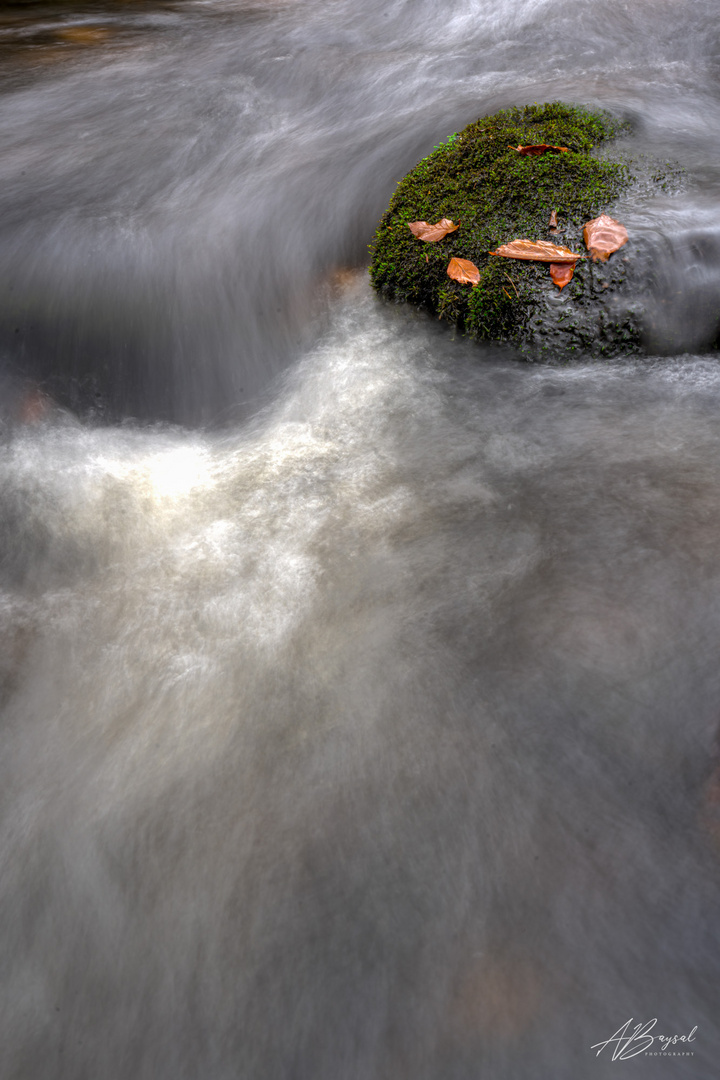 Kleine Ohe - Wasserfall 4