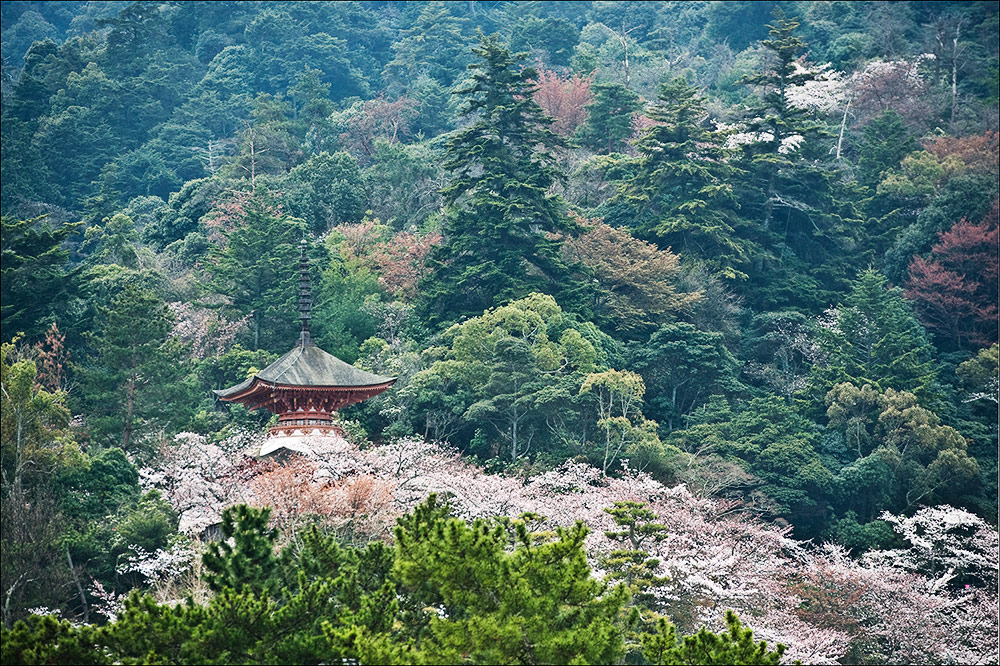 kleine-Pagode-im-Wald