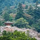 kleine-Pagode-im-Wald