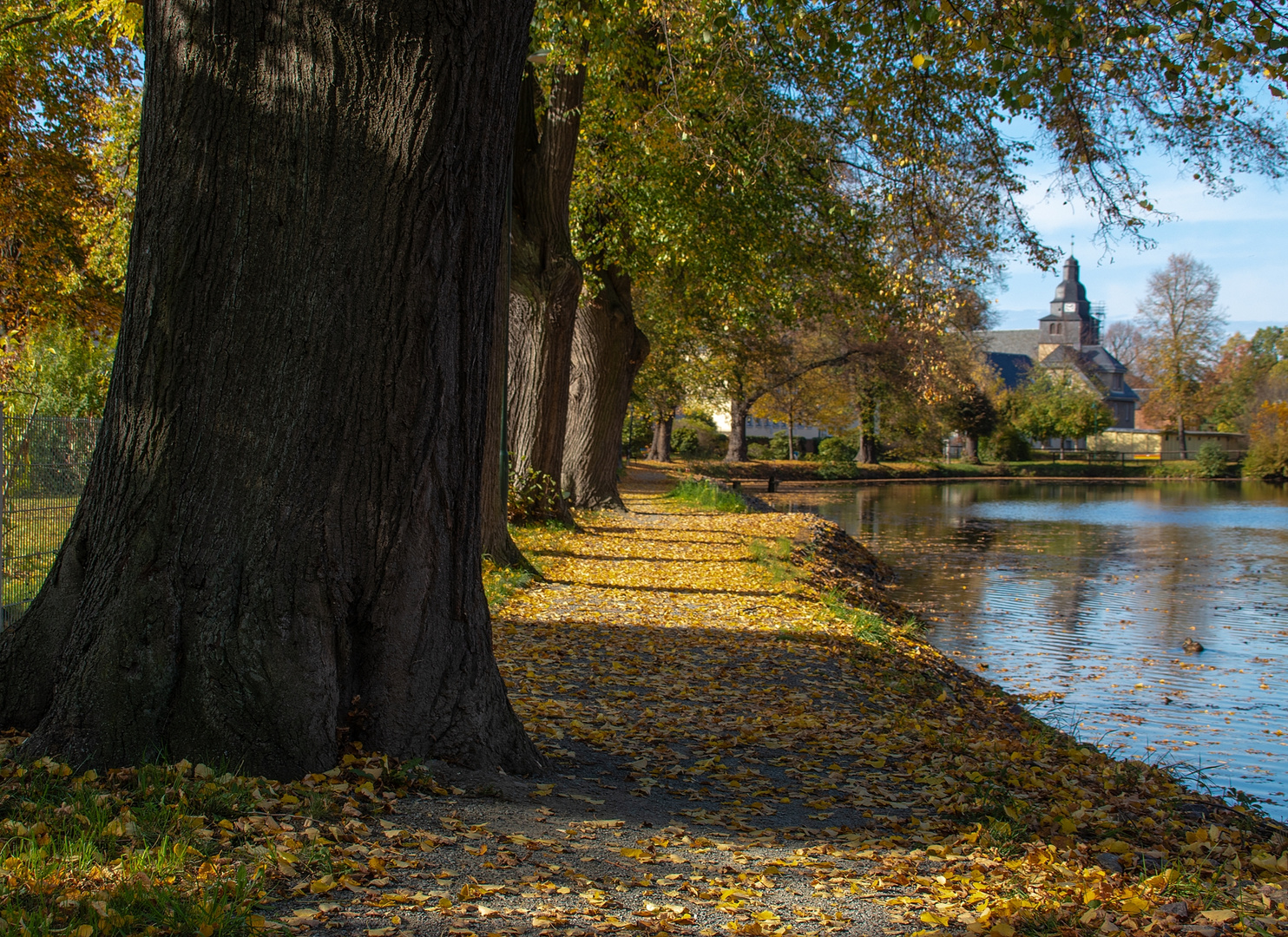 kleine Parkrunde