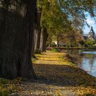 kleine Parkrunde