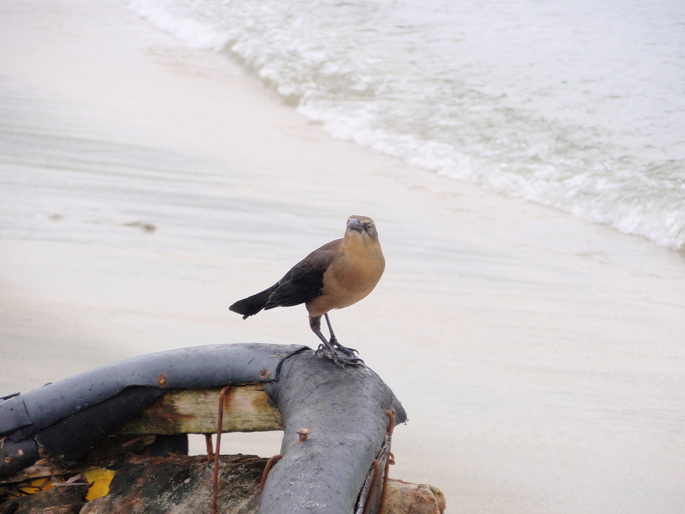 Kleine Pause am Strand