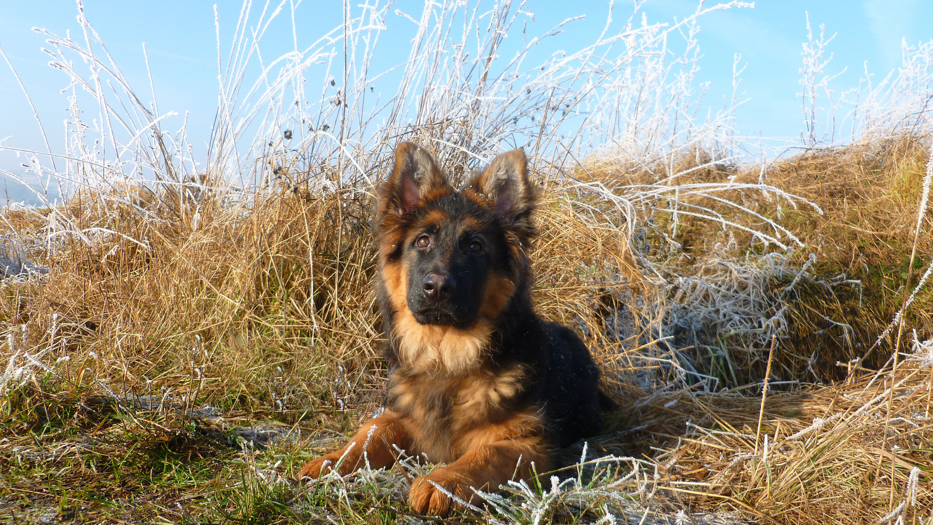 Kleine Pause beim Spaziergang