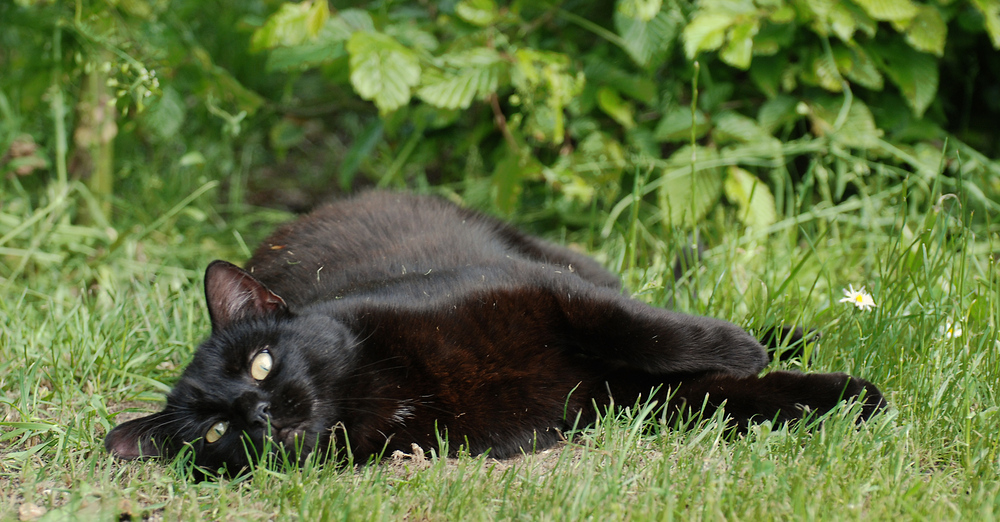 Kleine Pause in der Sonne.