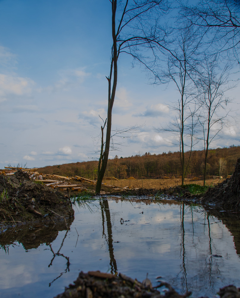 Kleine Pfütze mimt einen Teich Foto & Bild landschaft, bach, fluss