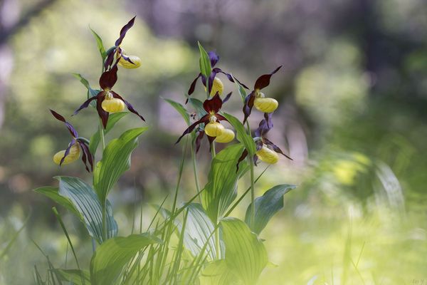 Kleine Plätze - große Schätze