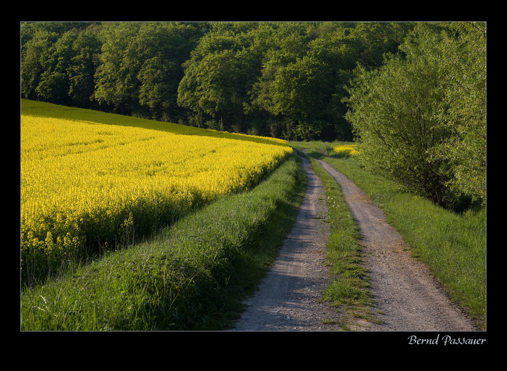 Kleine Rapsodie ... _01