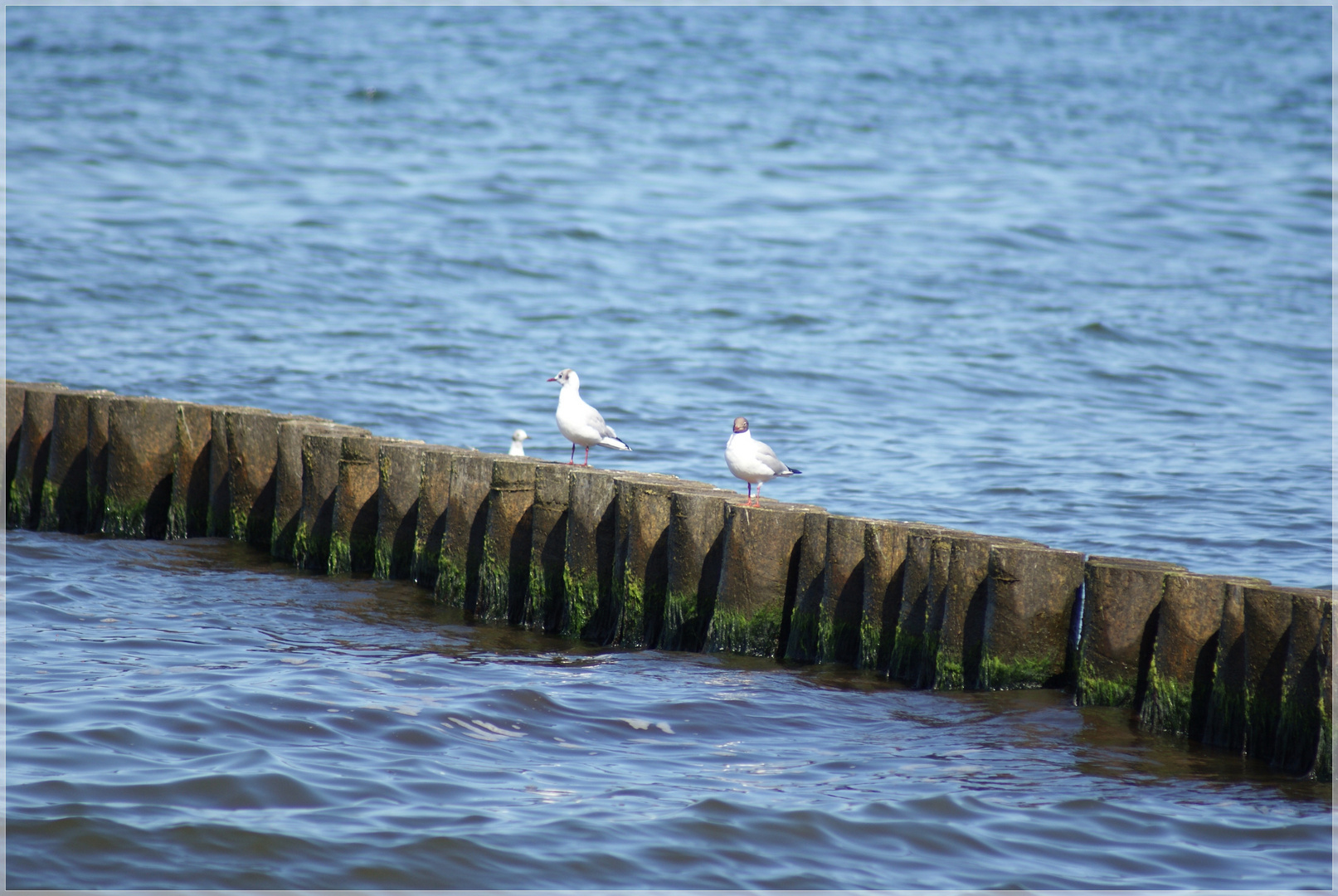 Kleine Rast