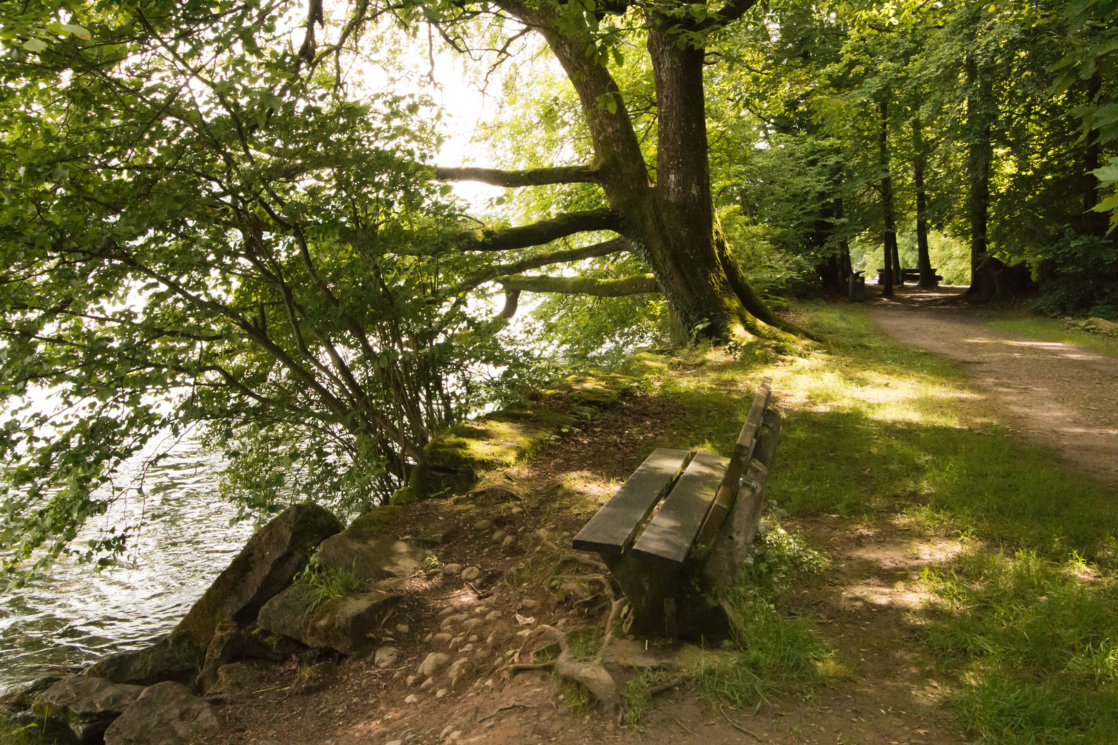 kleine Rast im Wald am See