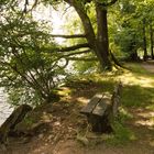 kleine Rast im Wald am See