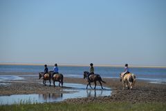 Kleine Reiterinnen am Dorfstrand in den Salzwiesen bei Sankt Peter Ording