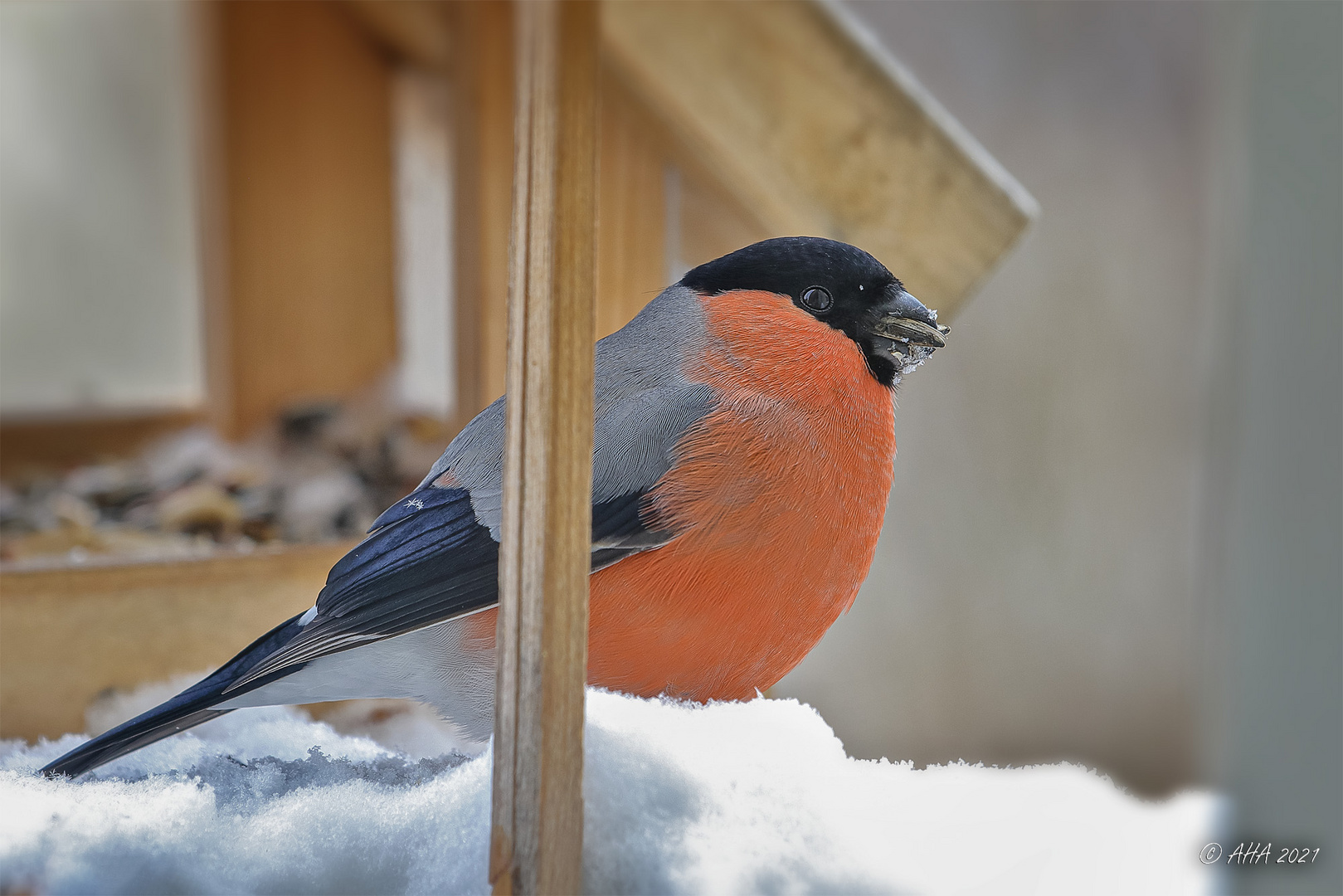 Kleine rote Fressmaschine