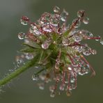 kleine runde Spiegel