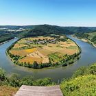 kleine Saarschleife bei Hamm - Panorama