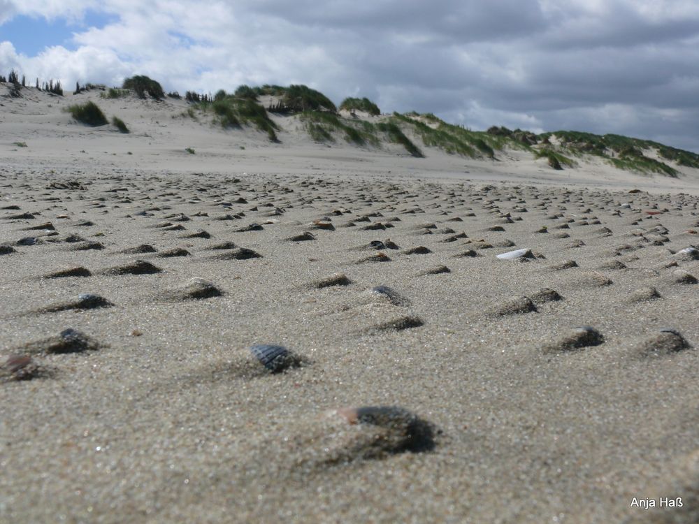 Kleine Sandgestalten