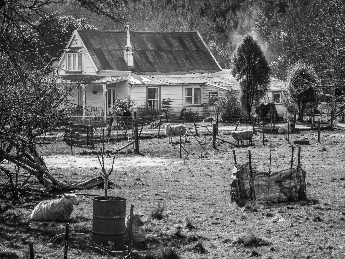 Kleine Schafsfarm