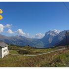 Kleine Scheidegg, Blick zum Wetterhorn