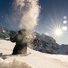 Kleine Scheidegg Selection