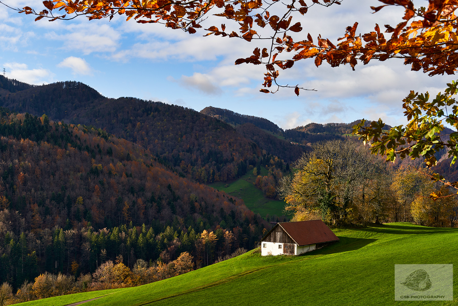 Kleine Scheune im Schwarzbubenland