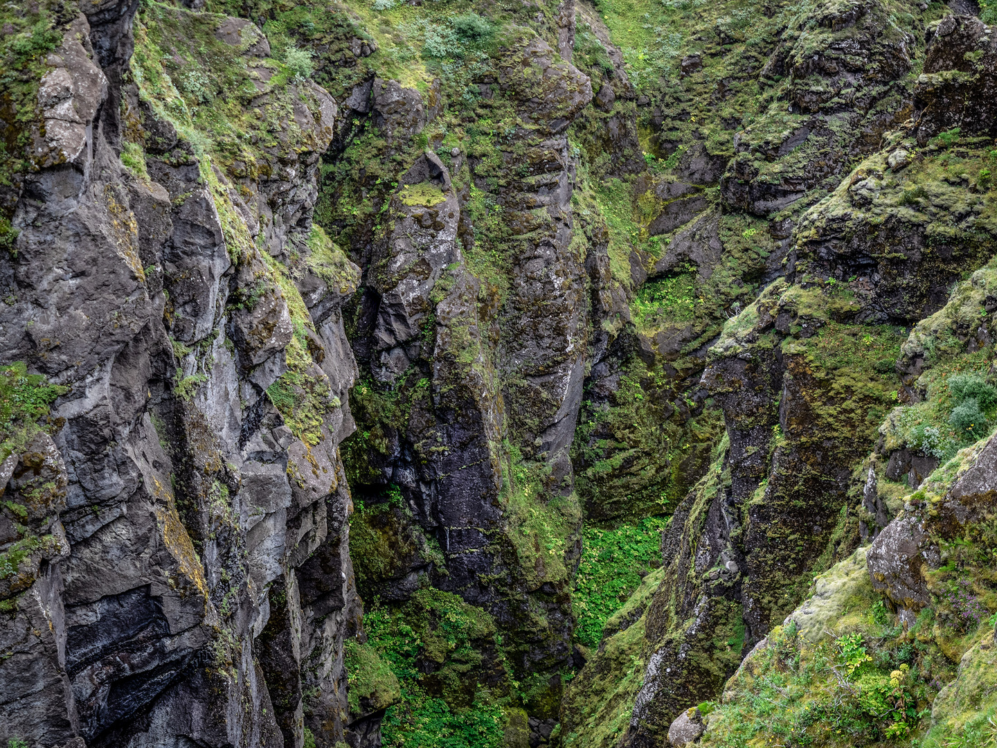 kleine Schlucht in Island