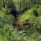 Kleine Schmalenau im Naturpark Arnsberger Wald