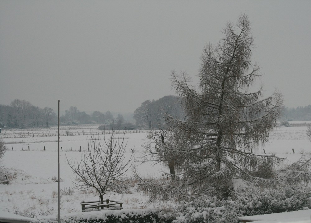 kleine schneeimpression von heute morgen