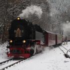 Kleine Schneerunde mit der HSB nach Eisfelder Talmühle 1.