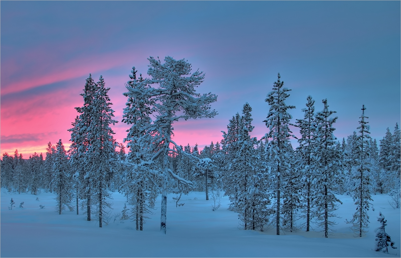 kleine schöne Dinge Foto & Bild | europe, scandinavia, finland Bilder