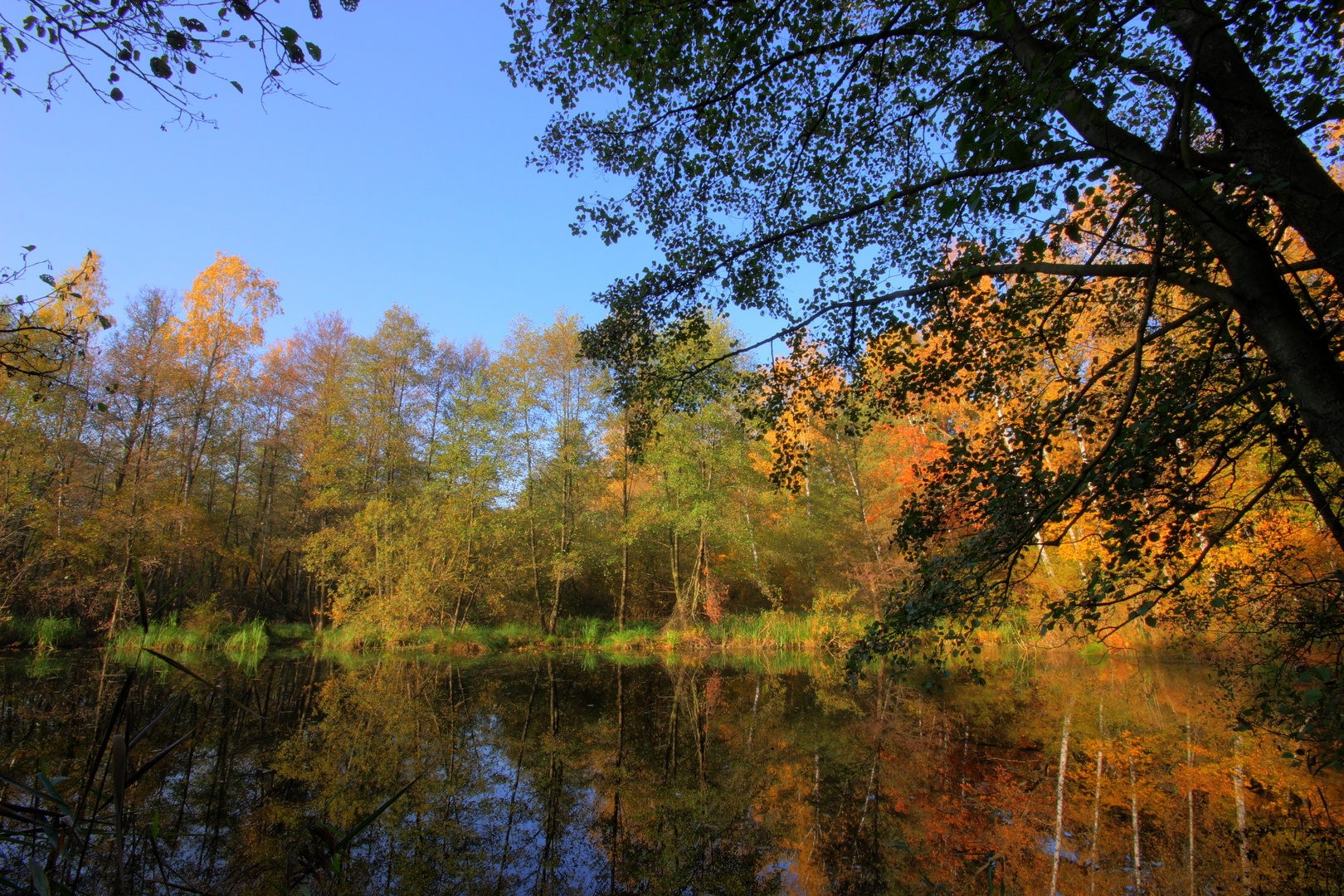 Kleine See am Briese