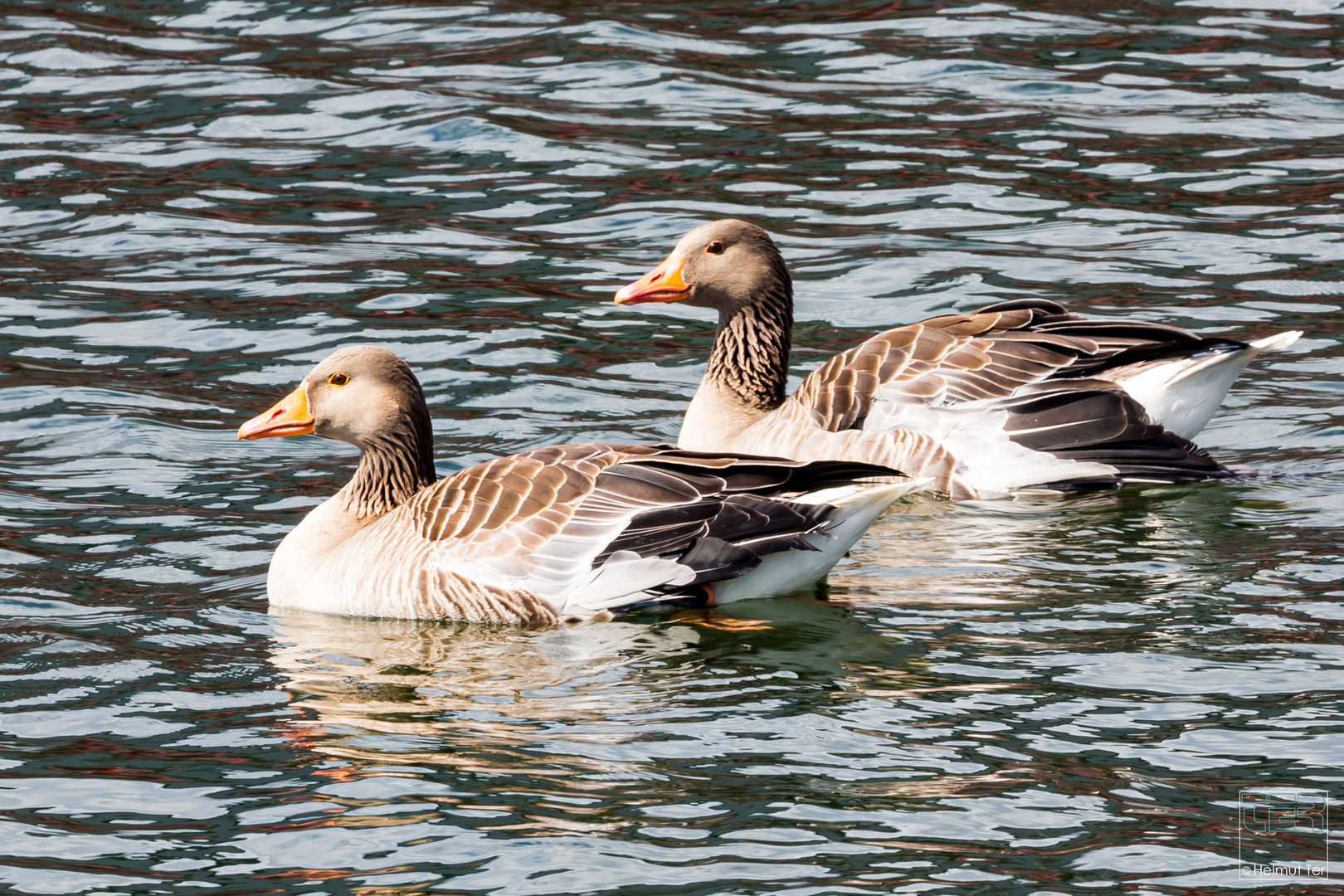  Kleine Seereise