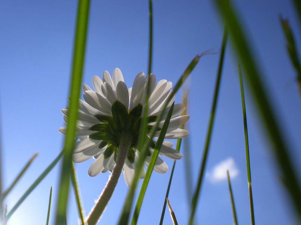 Kleine sehen mit anderen Augen