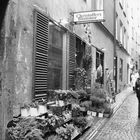 Kleine Seitengasse in Gamla Stan