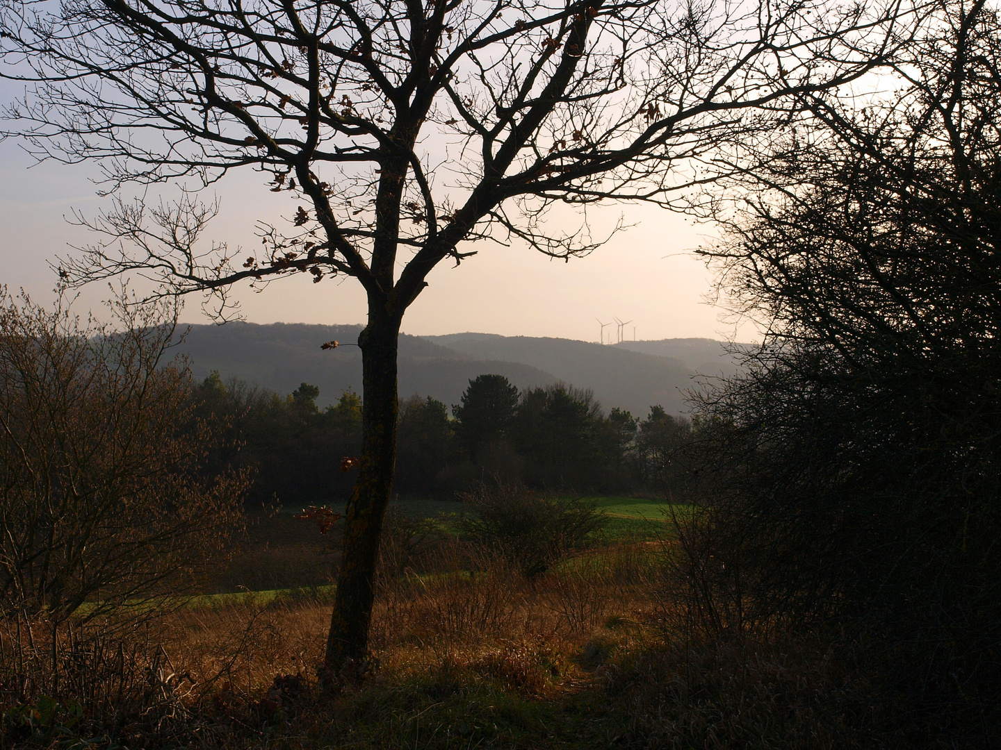 Kleine Sonntagsrunde am "3. Weihnachtstag" 2015