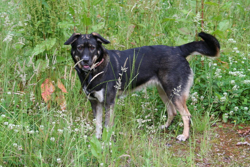 Kleine Spanierin, namens "Lolle"