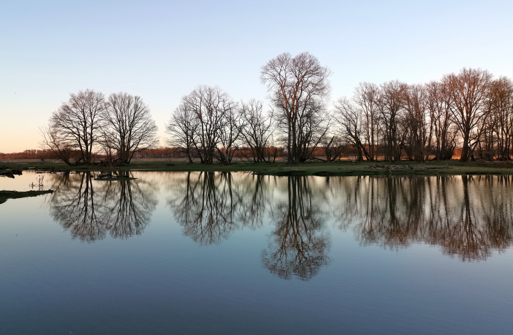 Kleine Spiegelei in der Oderaue