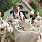 kleine Stärkung vor der Schau