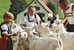 kleine Stärkung vor der Schau