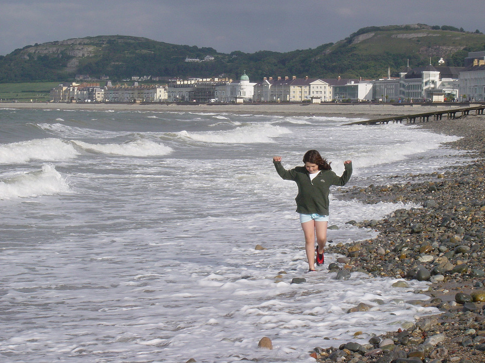 Kleine Strandläuferin