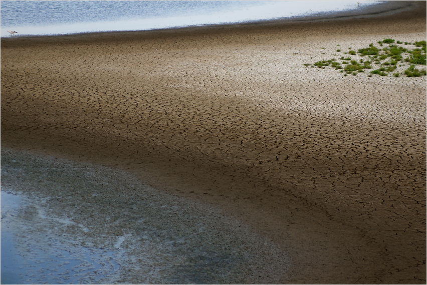 Kleine Strandvögel