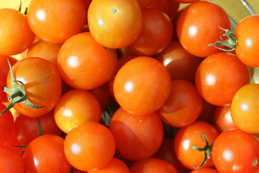 Kleine Tomaten