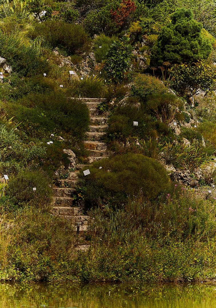 kleine Treppe Botanischer Garten München