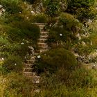 kleine Treppe Botanischer Garten München