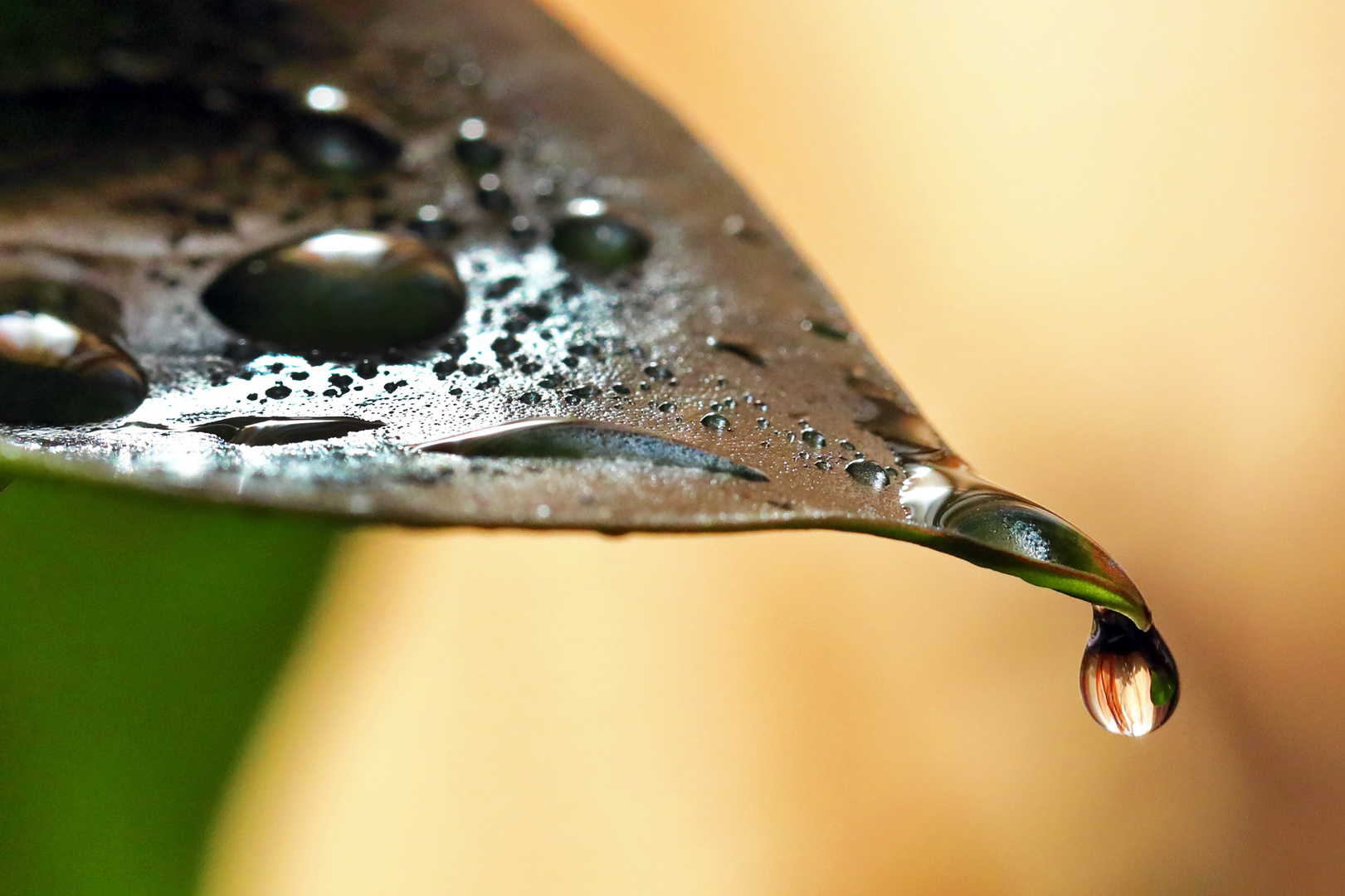 Kleine Tropfen Wasser