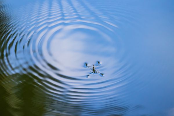 Kleine Ursache - große Wirkung