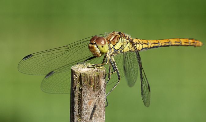 kleine Verschnaufpause...........