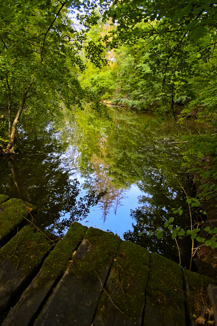 kleine Waldbrücke