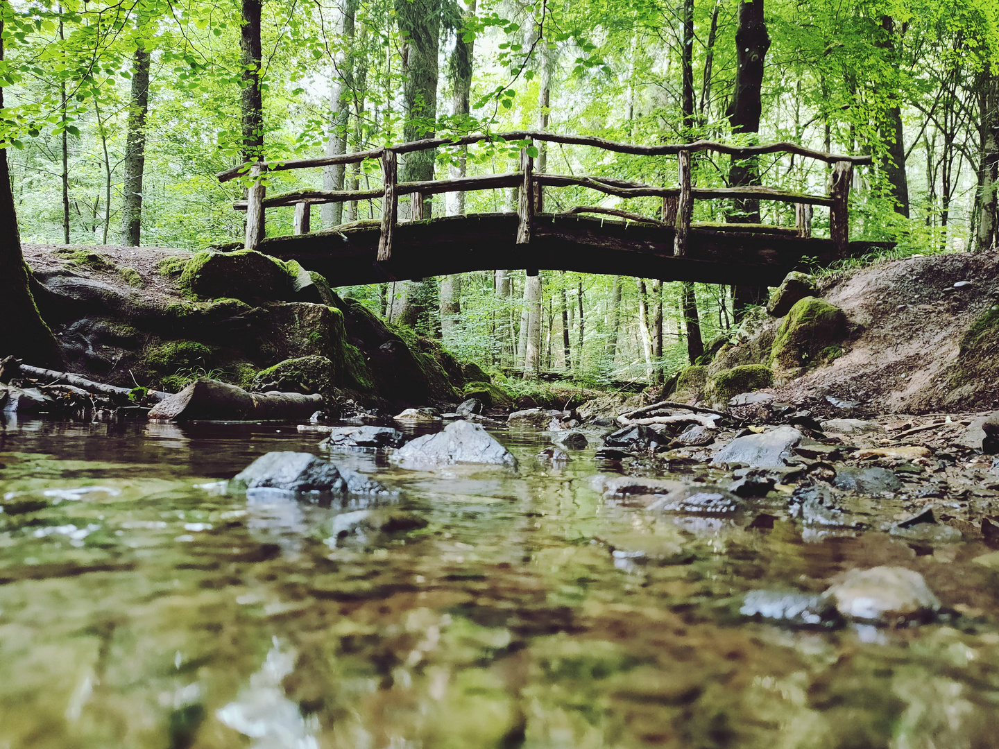 Kleine Waldbrücke über einen Bach 