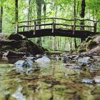 Kleine Waldbrücke über einen Bach 