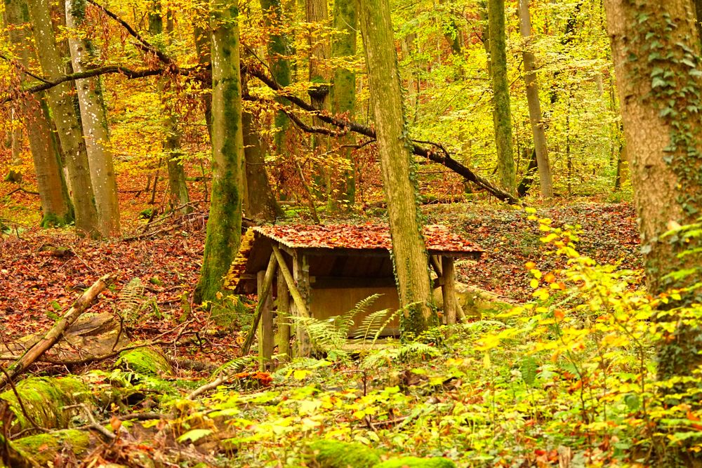 Kleine Waldhütte