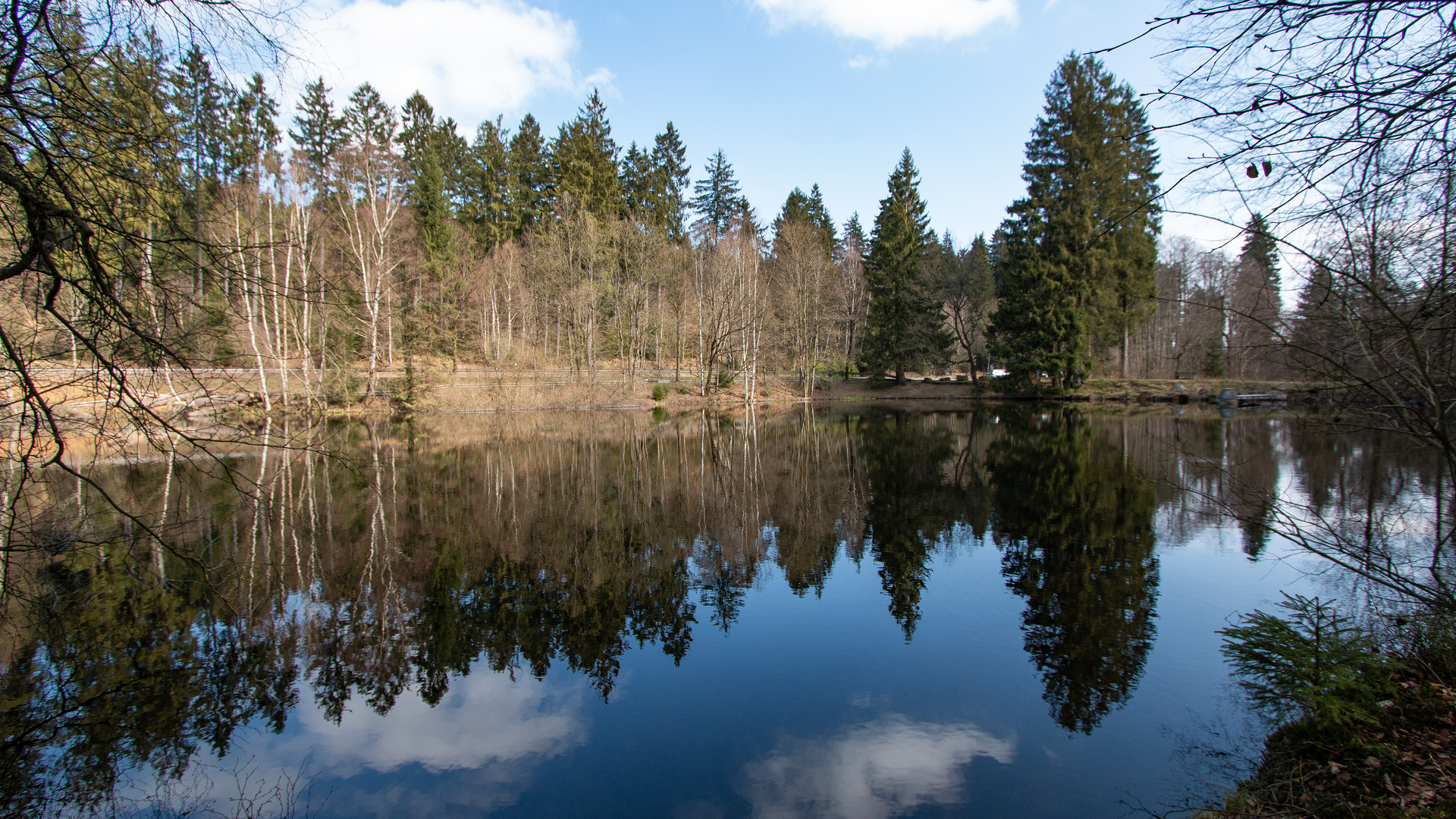 kleine Waldseeidylle